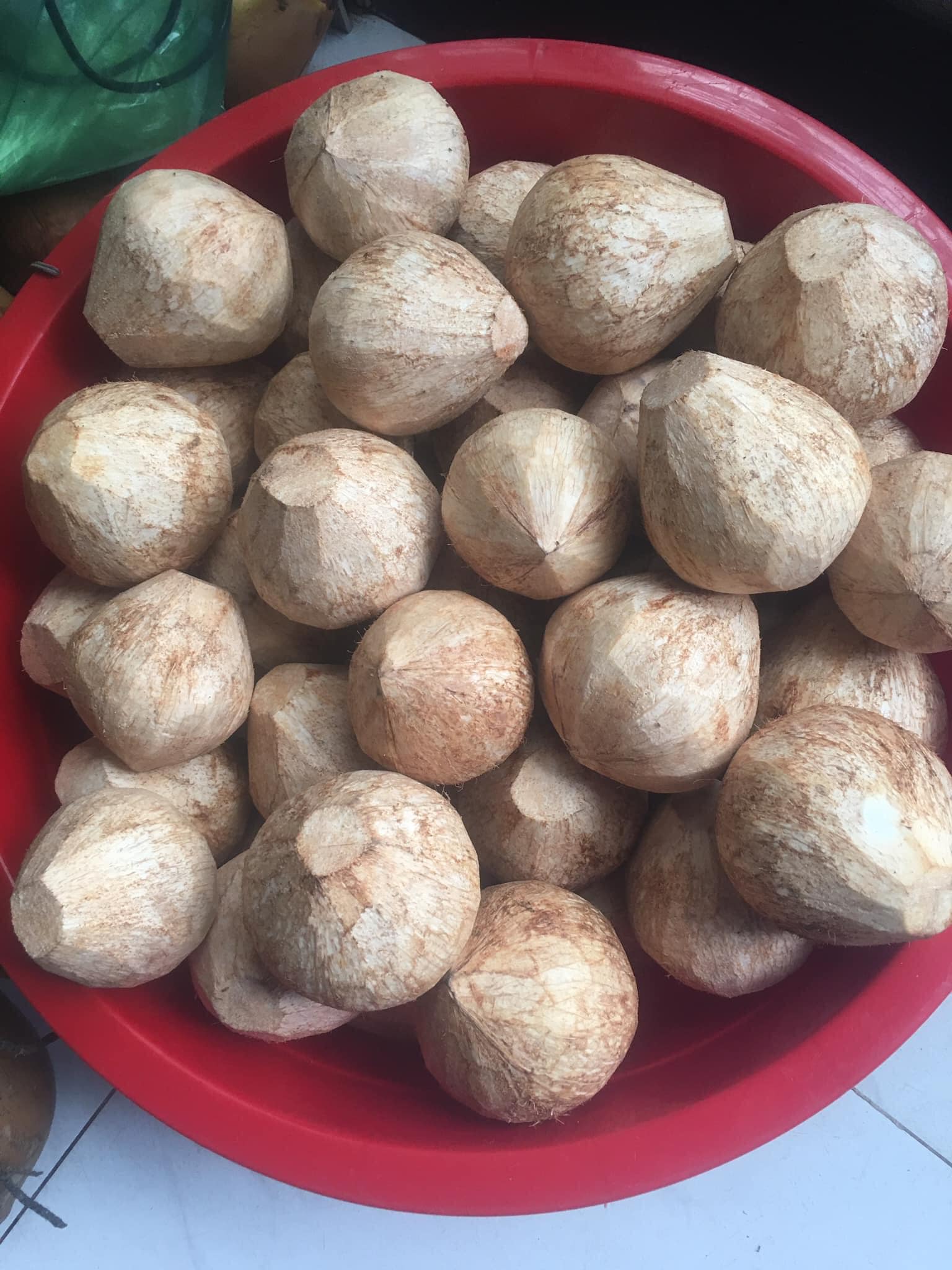 Dừa Mã Lai Gọt Trọc (size vừa)