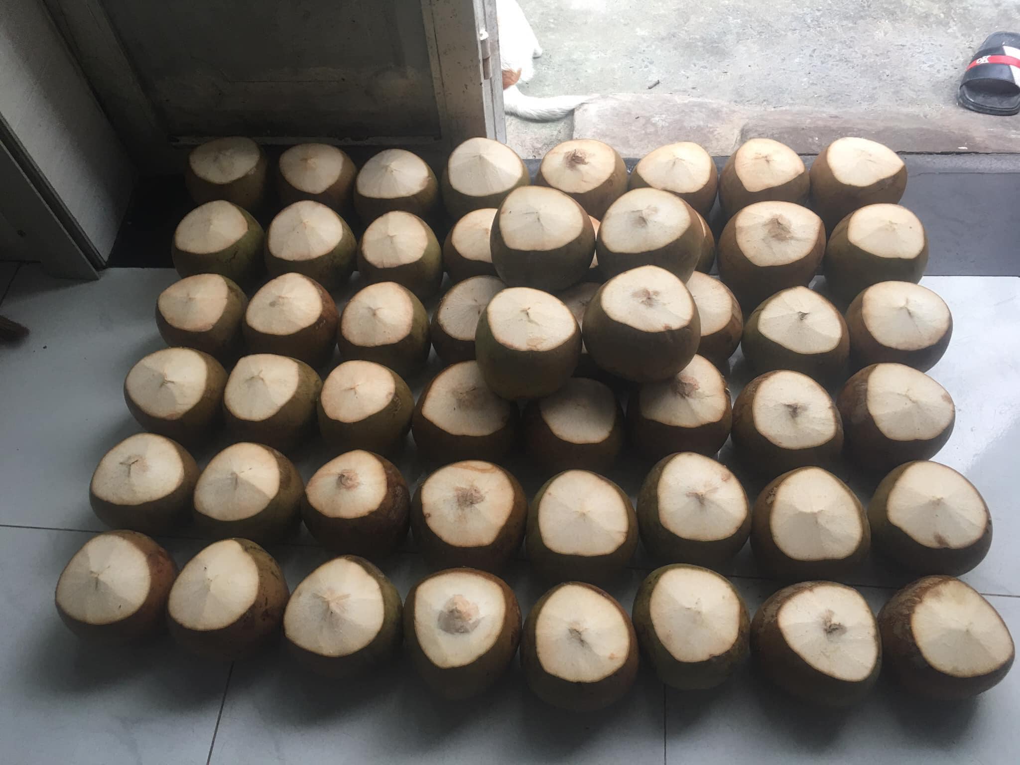 Dừa Xiêm Gọt Lạnh (size nhỏ)